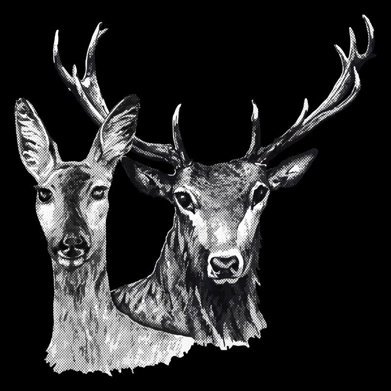 Cerfs et biche
