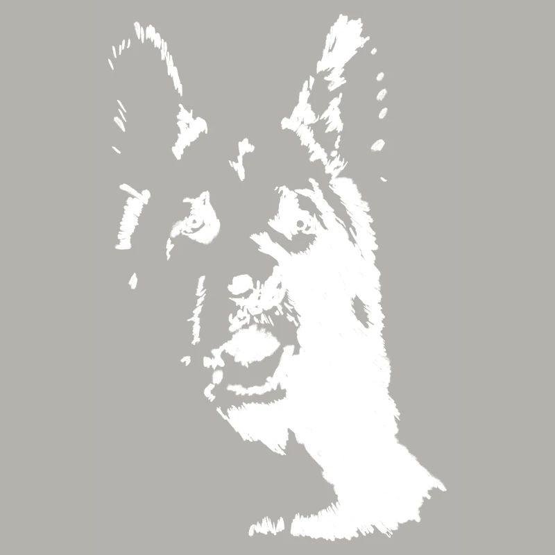 Deutscher Schäferhund Frontalansicht