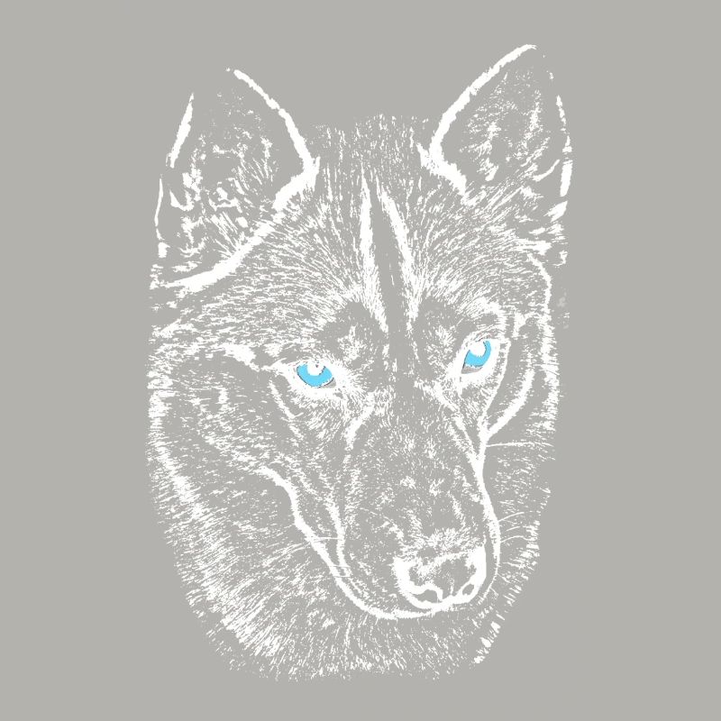 Wolf view in night light husky with blue eyes