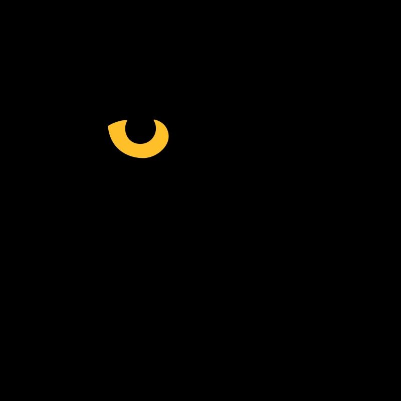 Chamane (œil droit)