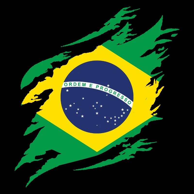 Brésil Drapeau Brésilien Drapeau Amérique du Sud