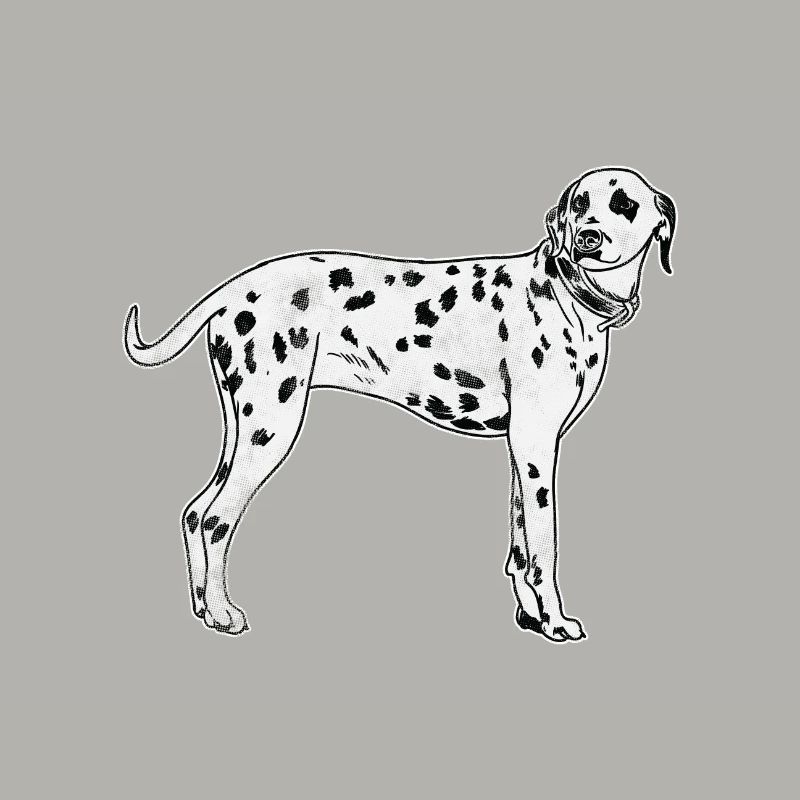 Dalmatiens