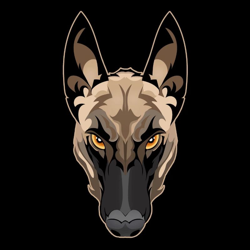attention malinois dog