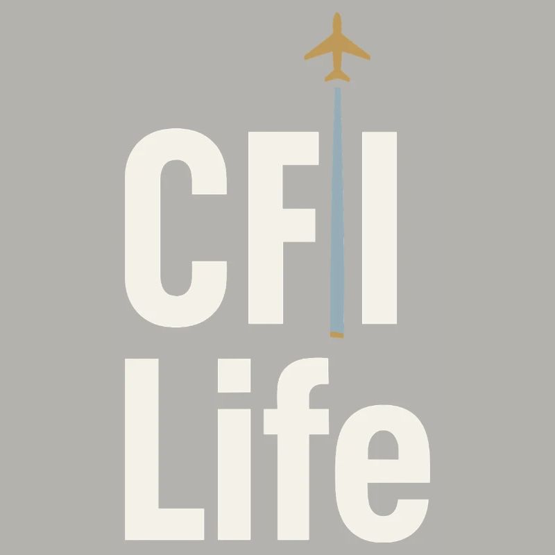 Flight Instructor Cfi Pilot Aviation Instructor