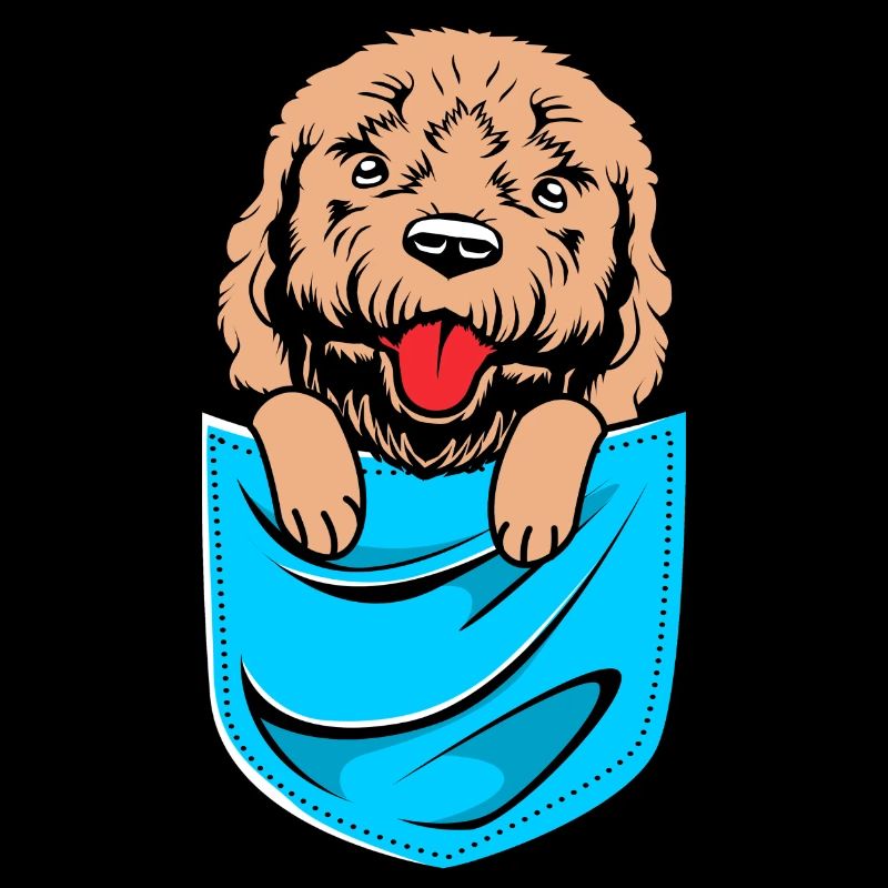 Goldendoodle