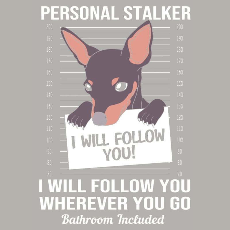 Miniature Pinscher