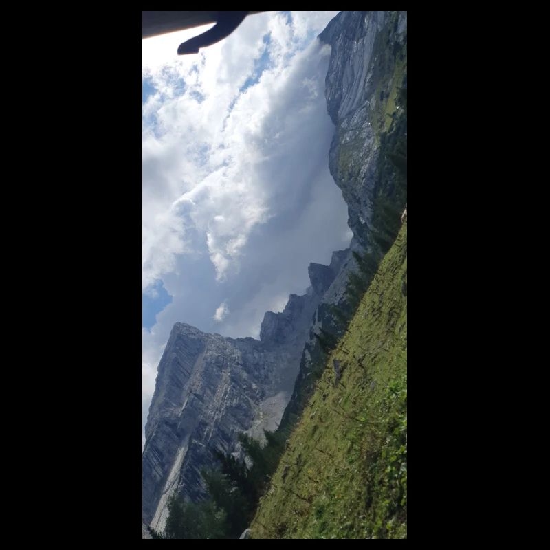 BERG