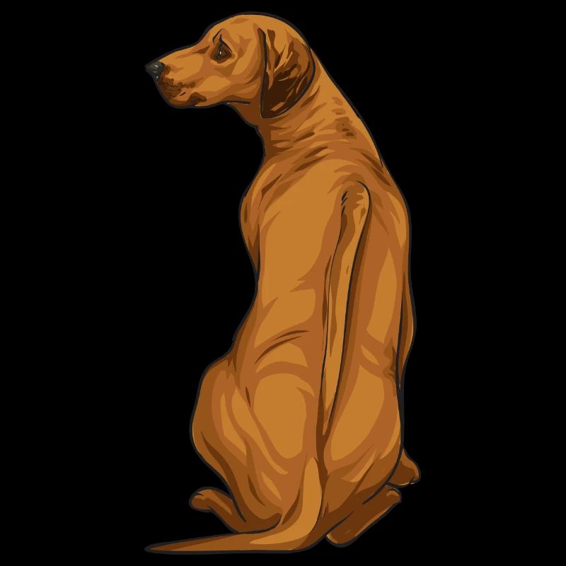 Rhodesian Ridgeback Hund Geschenk