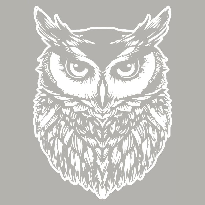 Eule Eulen Vogel Vögel