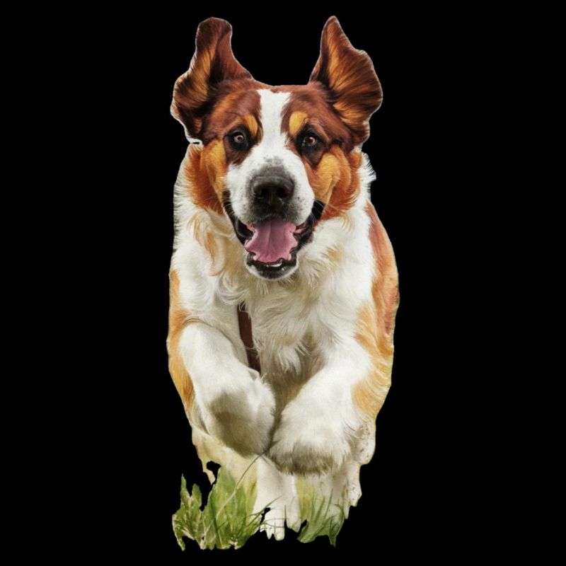 Doggo