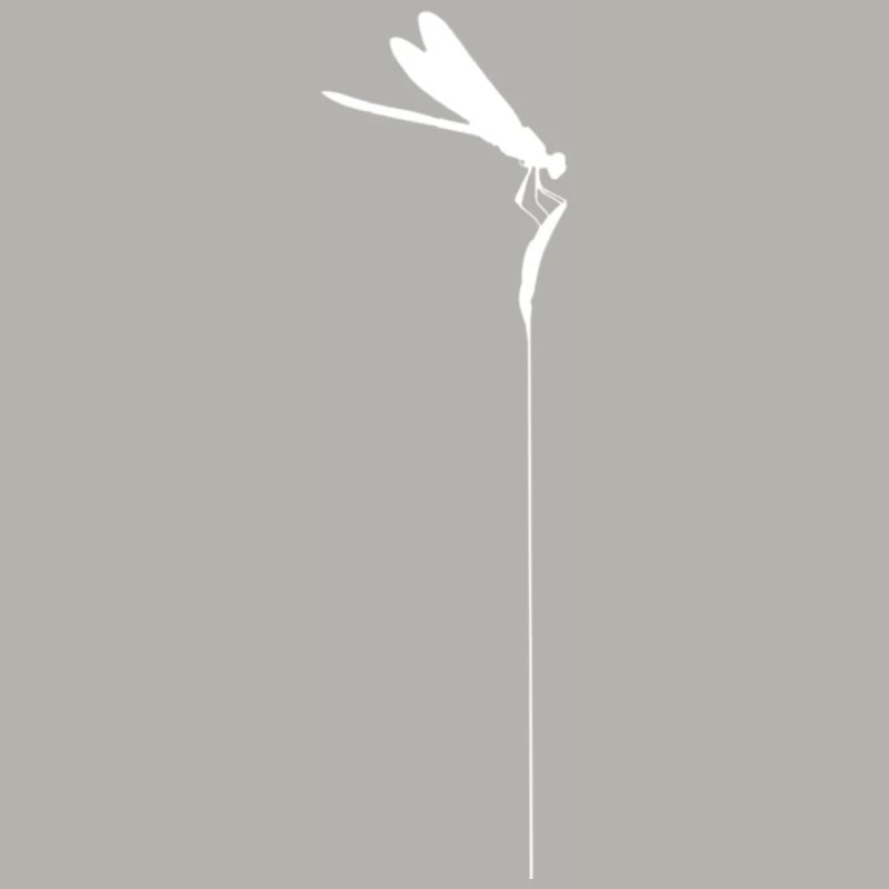 Zen-Libelle – Minimalistischer Kachimushi-Geist