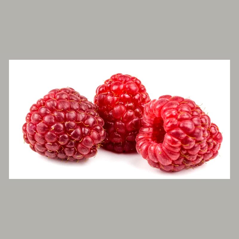 Himbeere. raspberry