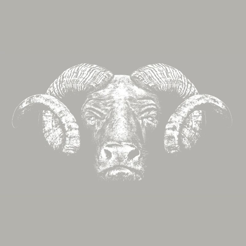 Minotaur / Head