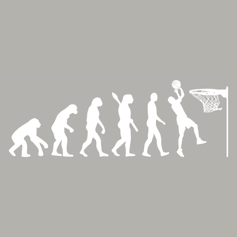 Jeu de basket-ball Evolution