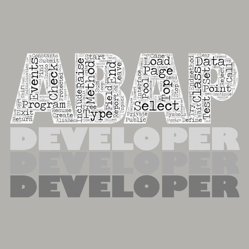 ABAP Developer