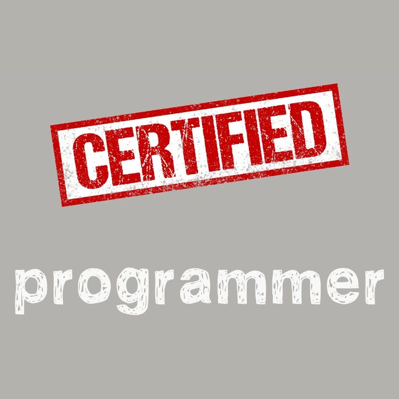Programmeur