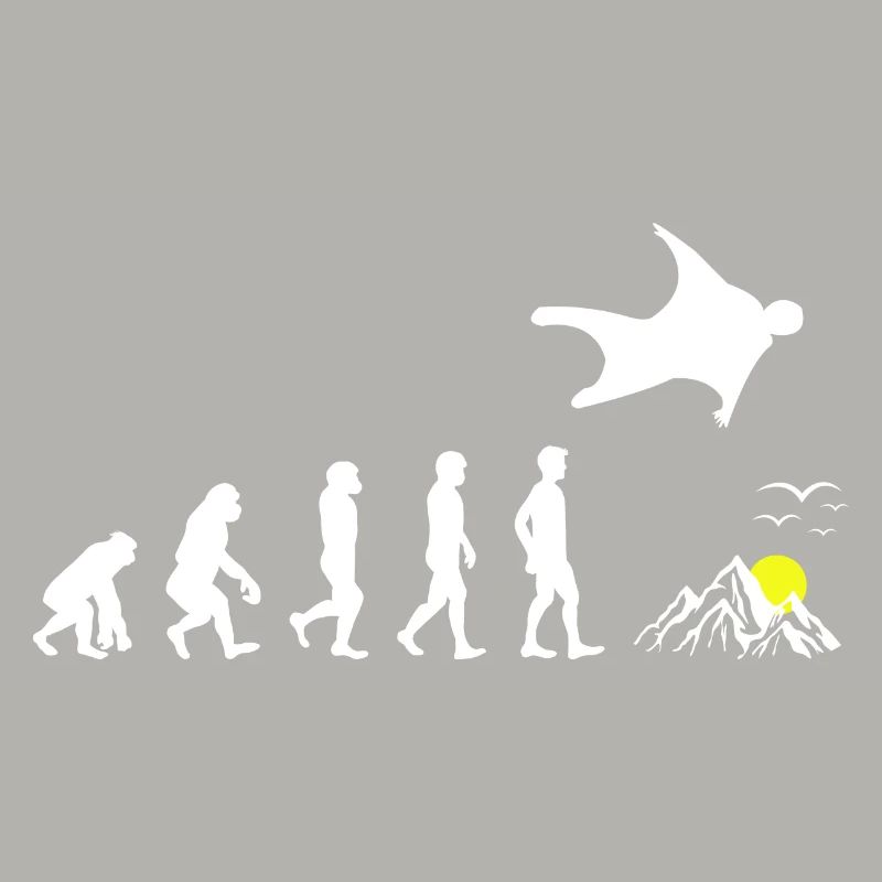 Wingsuit volant Base Jumping Skydiving Evolution