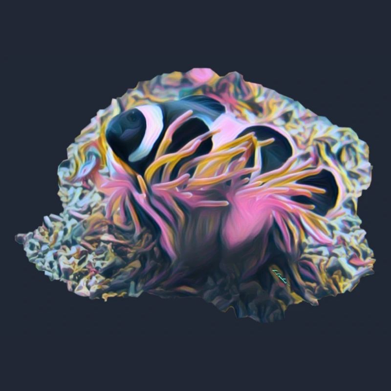Clownfisch