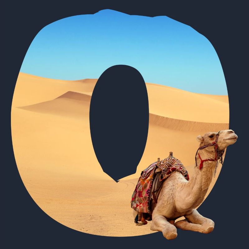 wüste mit kamel o