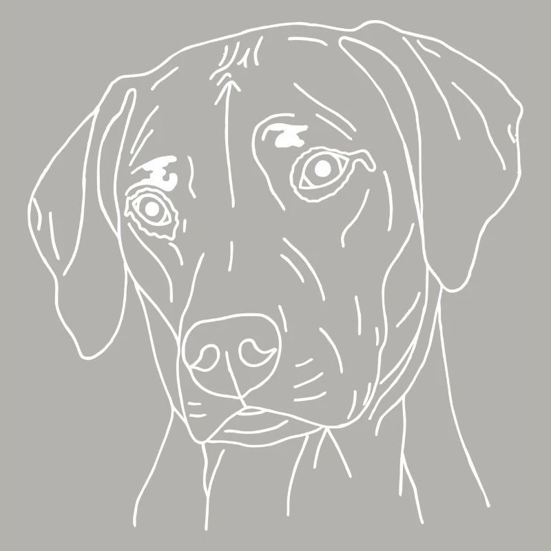 Rhodesian Ridgeback