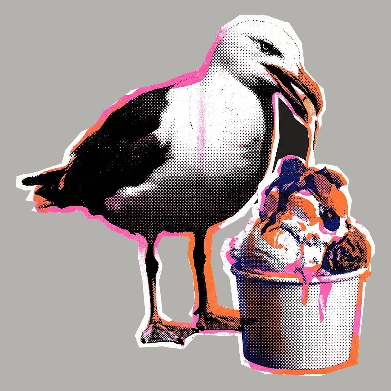 Möwe Isst Eis