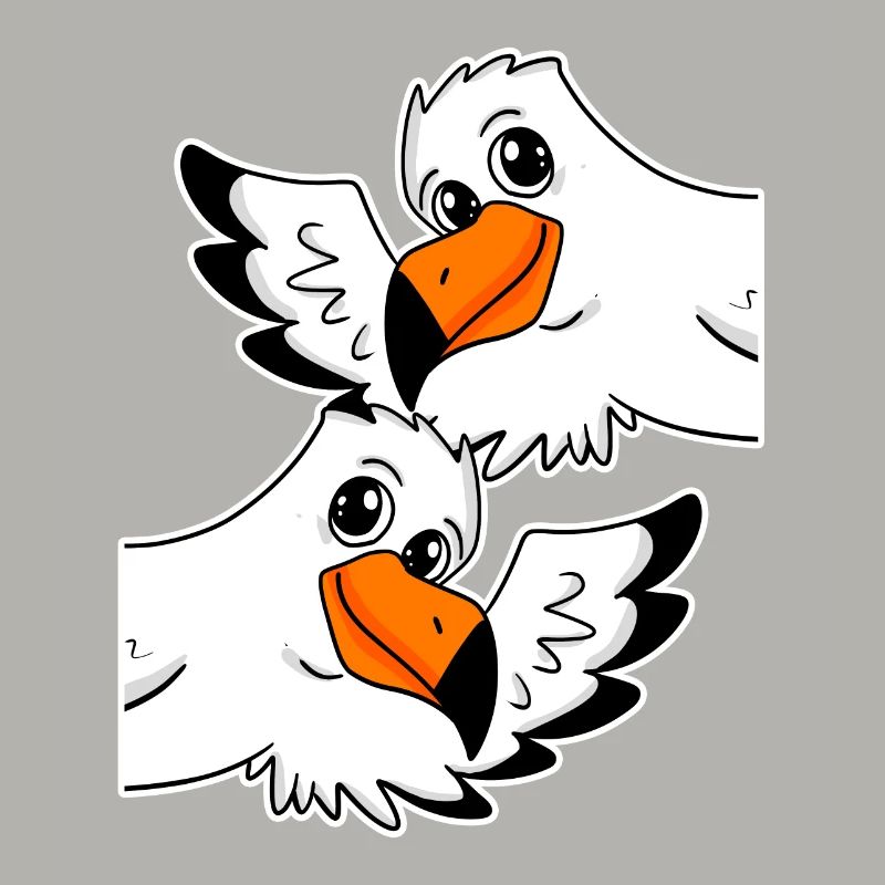 Möwe Möwen