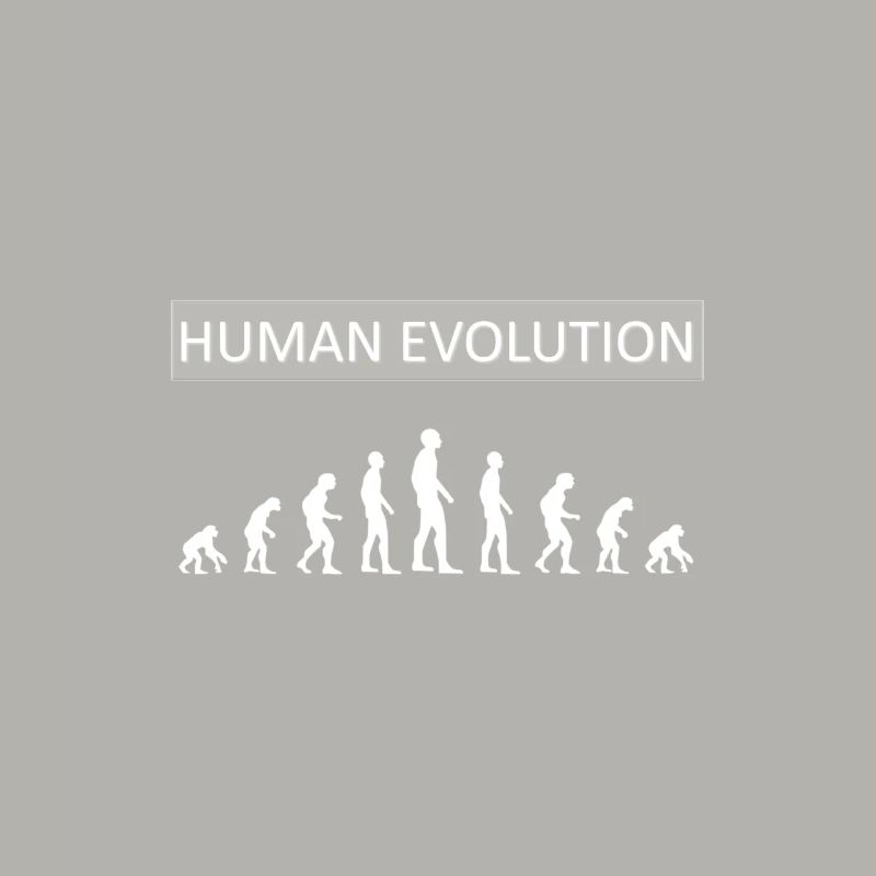 Human Evolution Funny