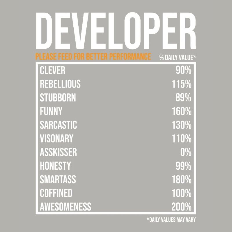 Entwickler Softwareentwickler Informatiker Coder