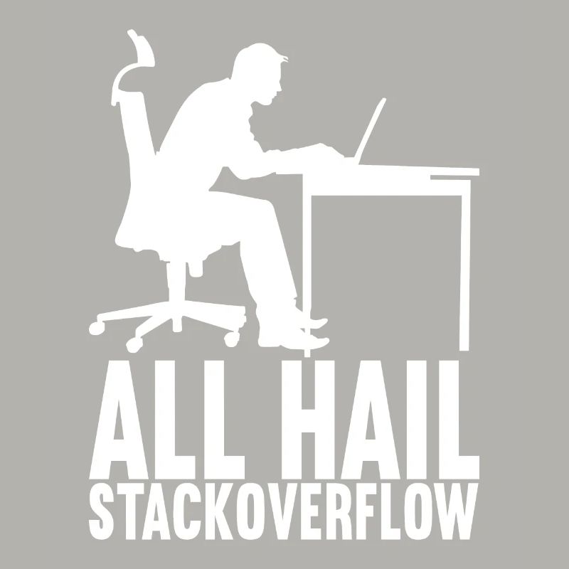 Programmierer Informatiker