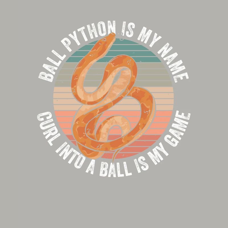 Königspython Bananenkugel Python