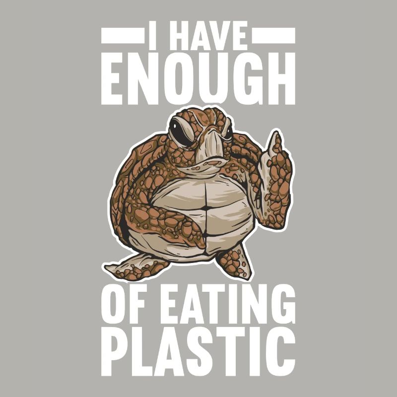 Angry Turtle