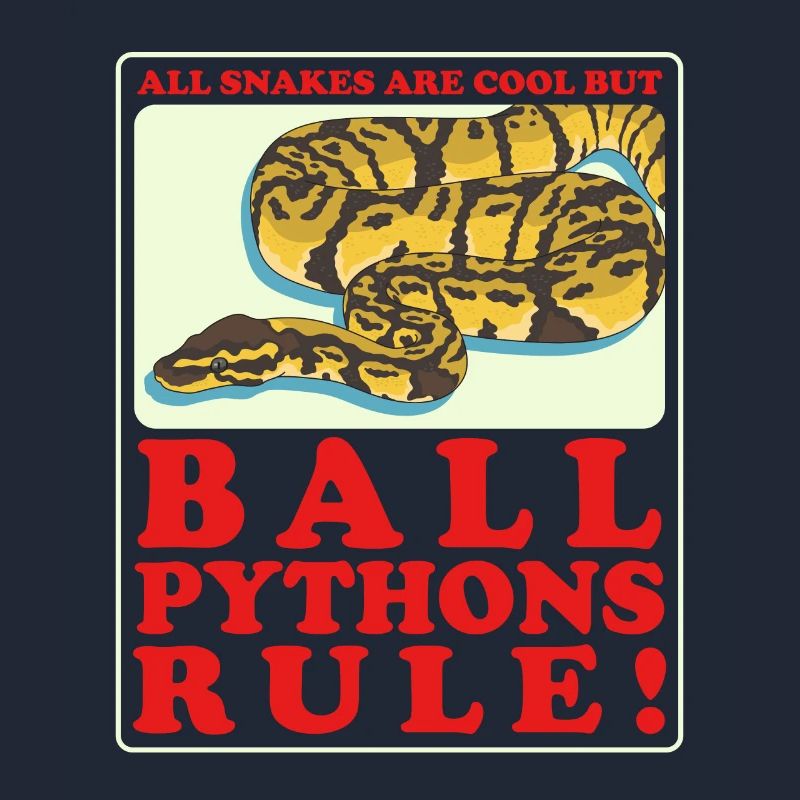 Königspython Python Schlange Geschenk