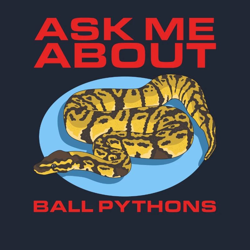 Königspython Python Schlange Geschenke
