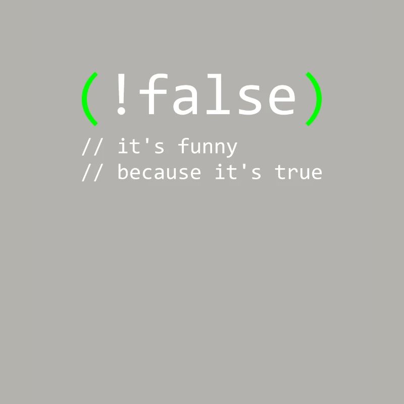 Programmer Humor false true funny Nerd Geek
