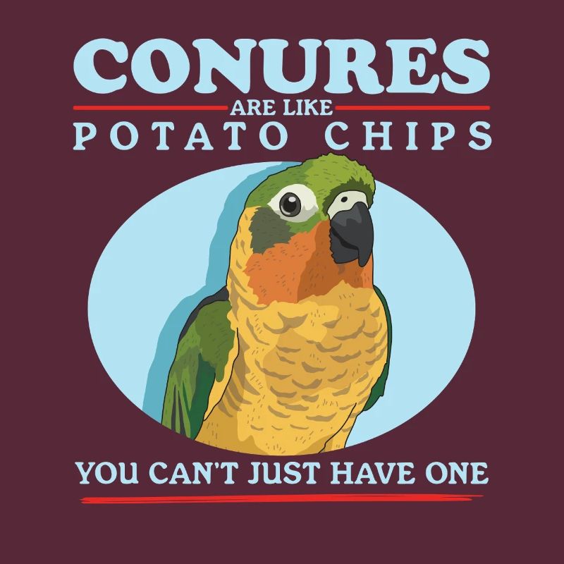 Conures simd like parrots Conure gift