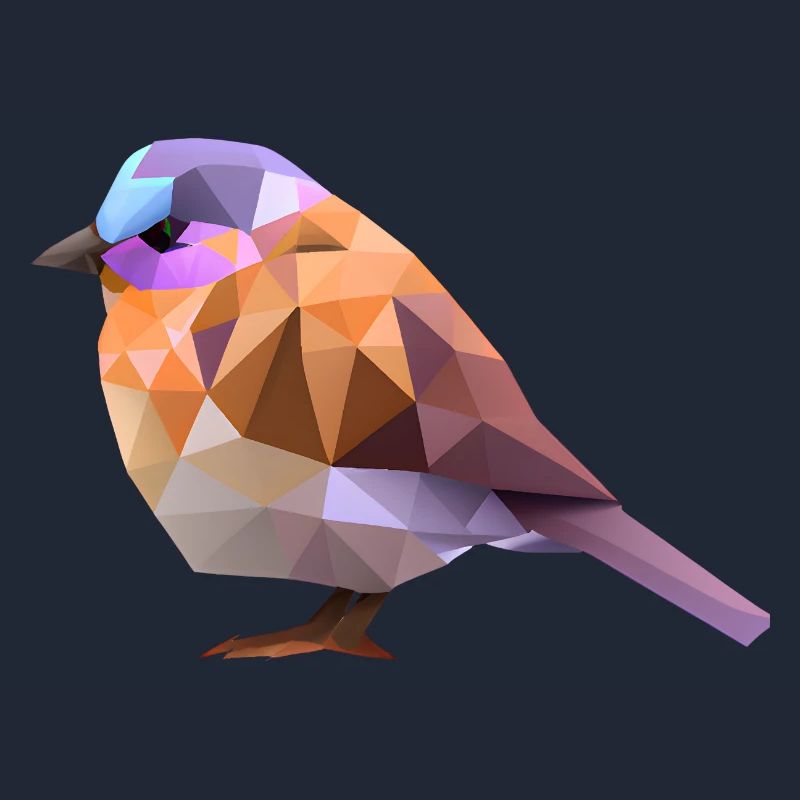 Conception d’oiseaux polygonaux
