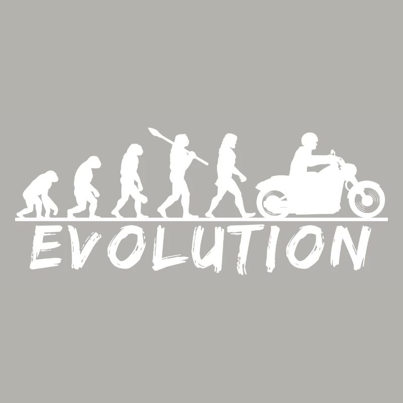 Évolution de l’équitation Découvrez votre parcours