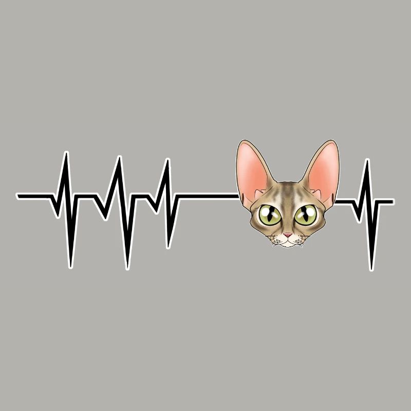 Cat Heartbeat I Devon Rex Cat