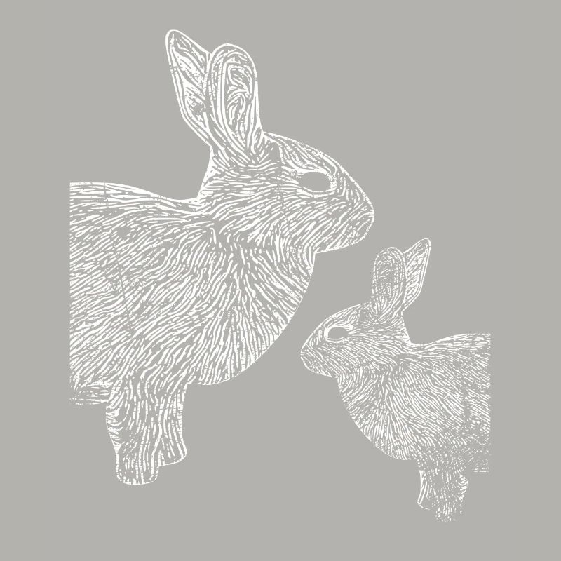 Cute Rabbit Hobby Breeding