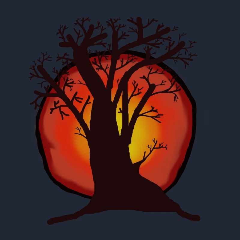 Tree, Sun, Sunset, Sunrays, Forest