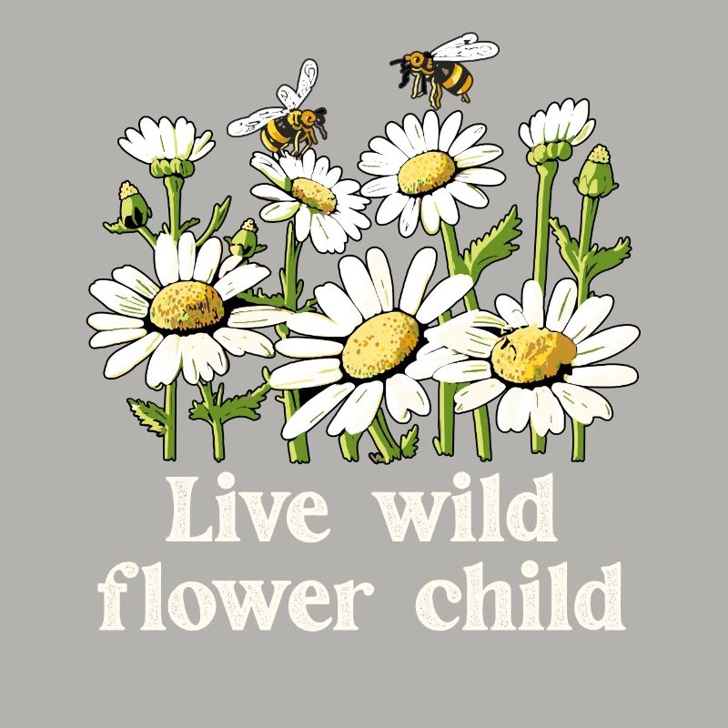 Margeriten Gänseblümchen Sommer Gänseblümchen Blumengarten