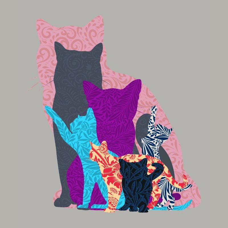 Collage de chat