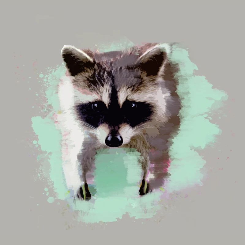 waschbär,bär,graffiti,malerei,mint