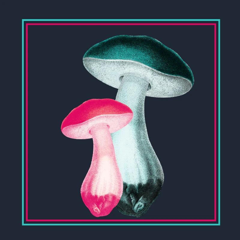 Champignons
