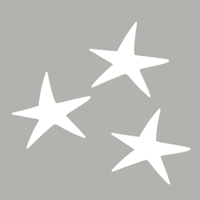 Stern muster Symbol