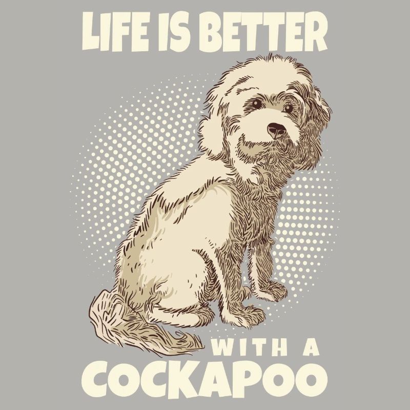 Cockapoo