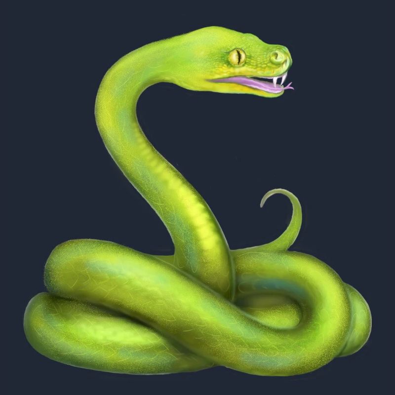 Der Grüne Python Schlange Dschungel Tier