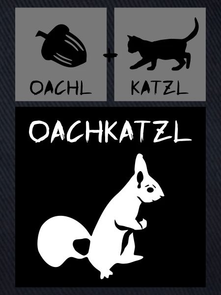Eichhörnchen - Oachkatzl