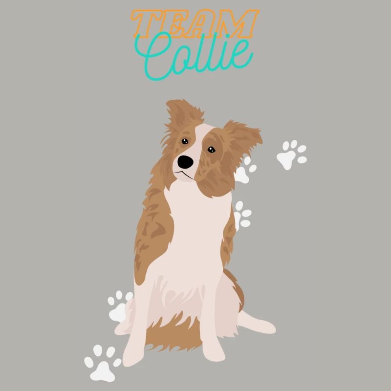 L’équipe Collie
