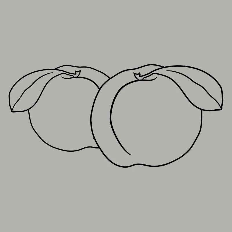 2 pfirsiche lecker frucht früchte